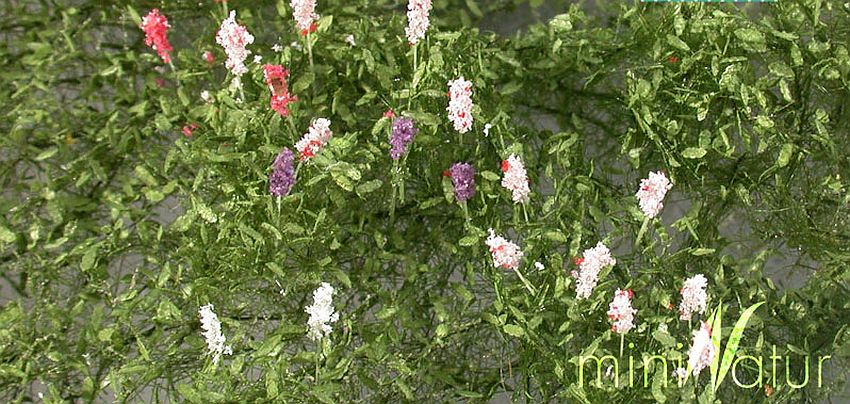 miniNatur Flowers & Plants