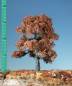 Preview: Oak tree (1:87) late fall