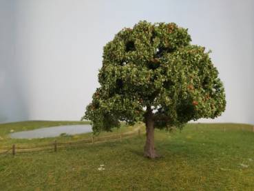 Apfelbaum (GS) Sommer