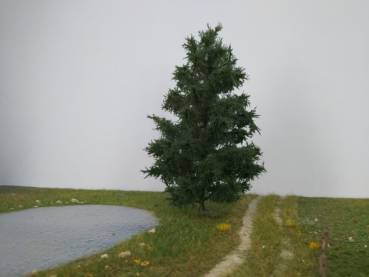 Nordic fir (1:160) summer