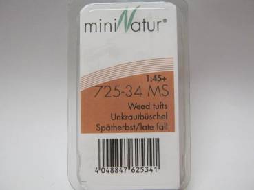 Unkrautbüschel Spätherbst