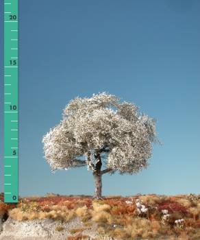 Cherry tree (1:87) spring