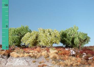 Bushes low spring