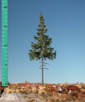 Green spruce high trunk (1:87) summer