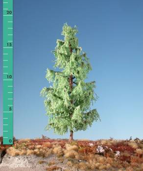 Larch (1:87) spring