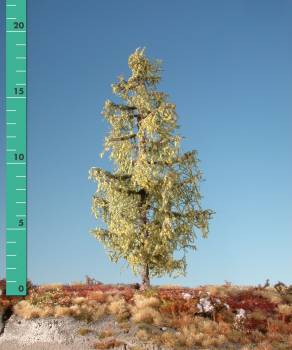 Larch (1:87) early fall