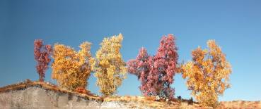 Filigree bushes graet track late fall