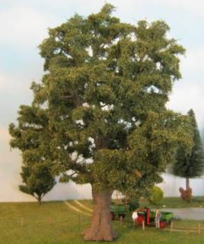 Oak tree exclusive profi early fall