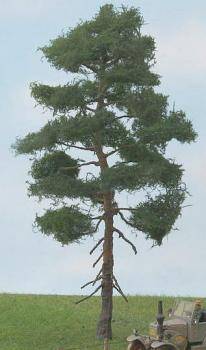 Forest pine Profiline
