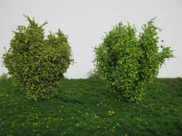 High shrubs, Profiline