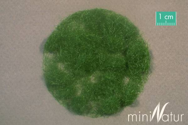 Gras-FLock 4,5 mm Sommer