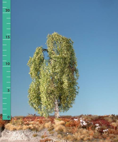 Weeping birch (1:87) spring