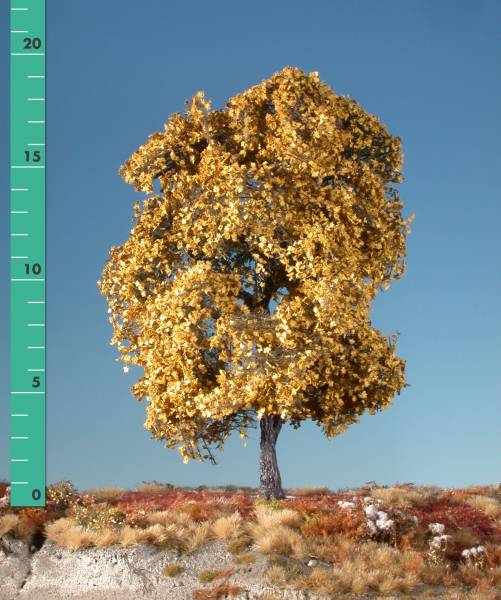 Maple (1:87) late fall (yellow)