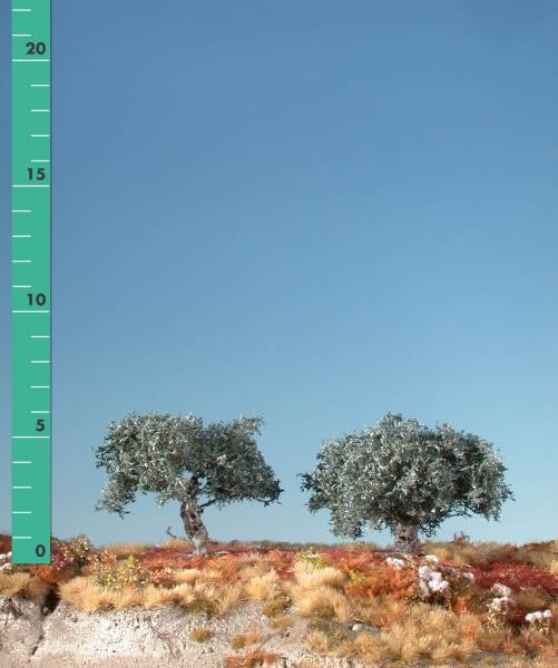 Olivenbaum (1:87) Sommer