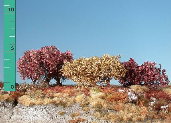 Bushes low late autumn