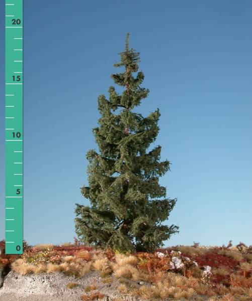 Green spruce (1:160) summer - Kopie