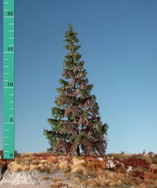 Weathered green spruce (1:87) summer