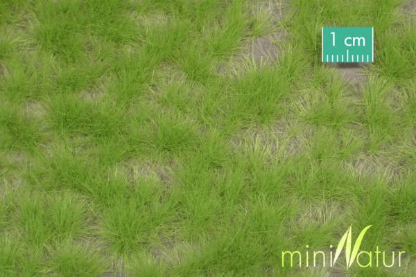 Grass tufts , spring 12mm