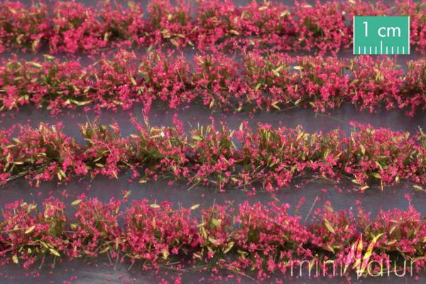 Flower field strips magenta