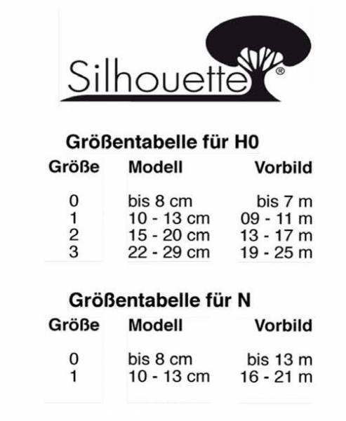 Ahorn (gelb) mit Efeu bewachsen Spätherbst