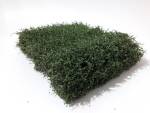 Shrubbery mats