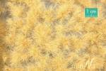 Grass tufts long gold beige
